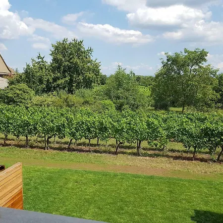 Between Riquewihr And Ribeauville - Townhouse Jacuzzi Clos Des Vignes 